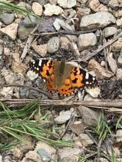 cr7eEw8WSyeJuGWyPzIvOQ